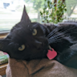 Meet your Posher, Natalie